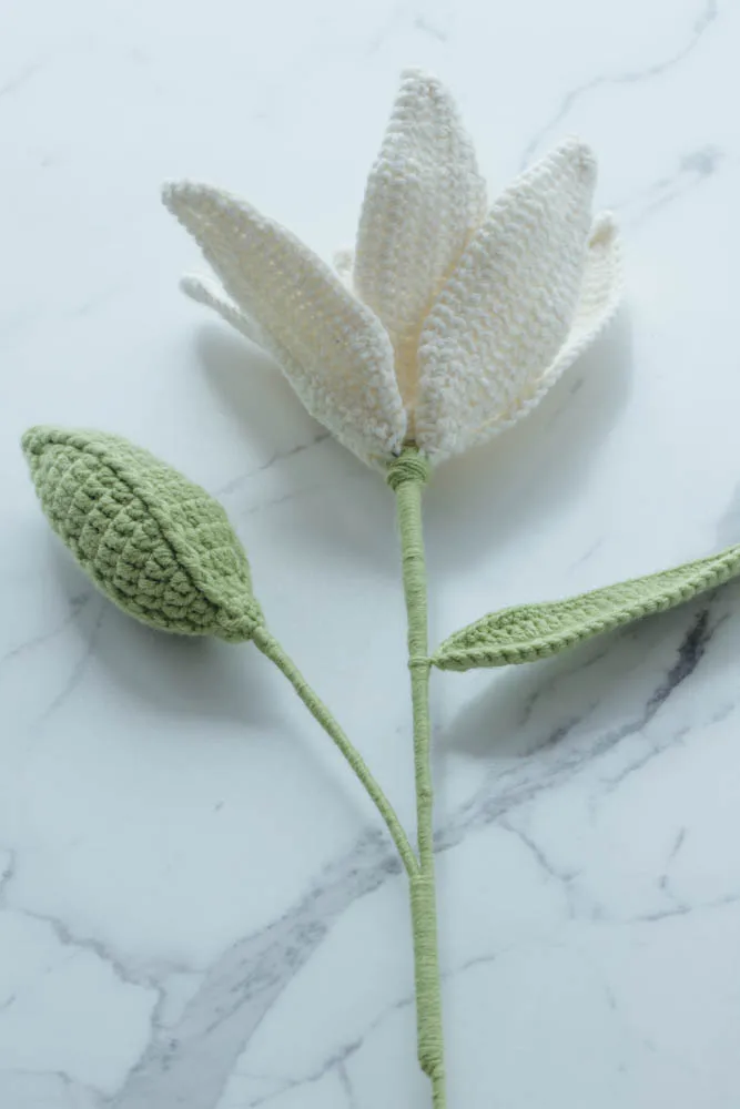 crochet lily|hookok