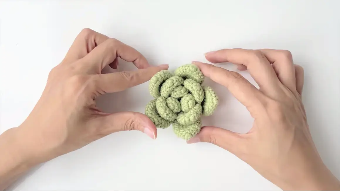 Crochet green succulent|hookok