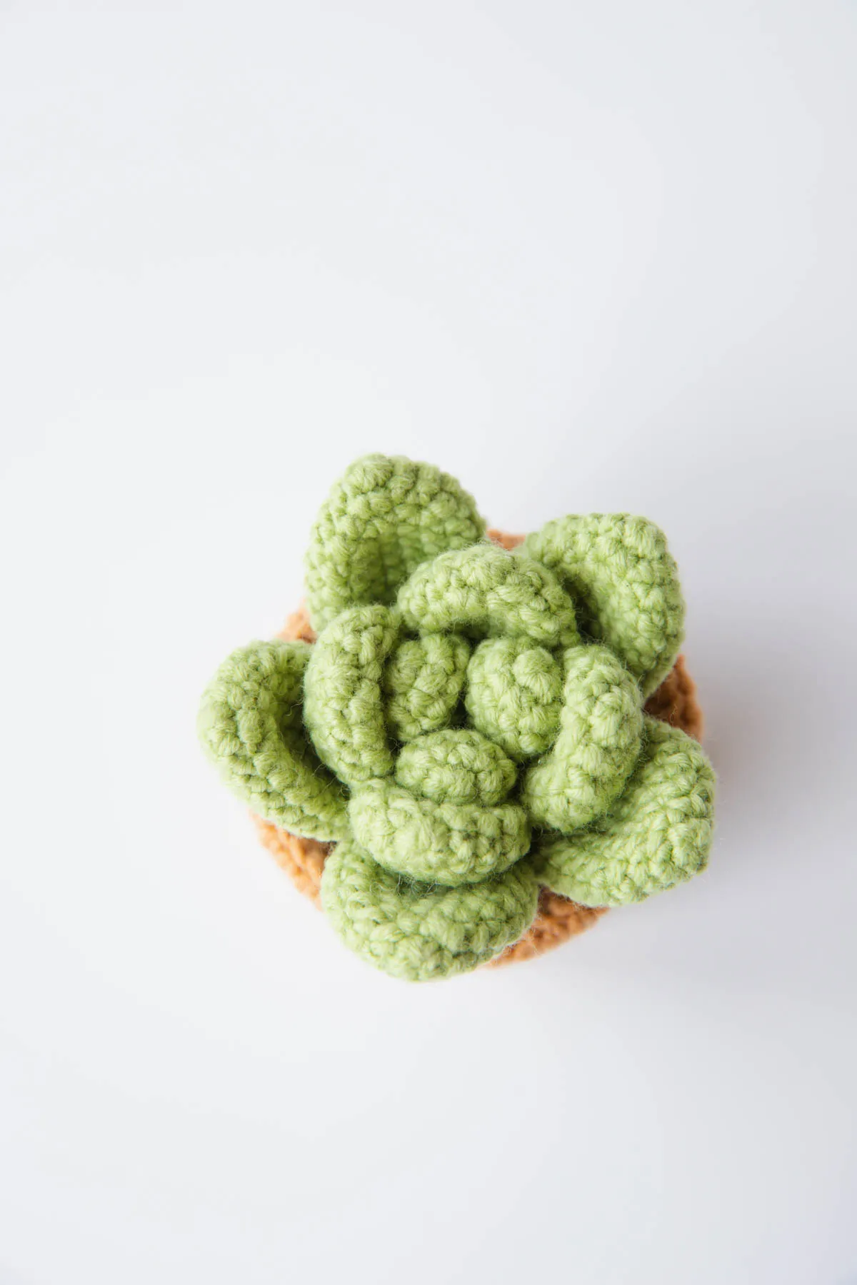 Crochet green succulent|hookok