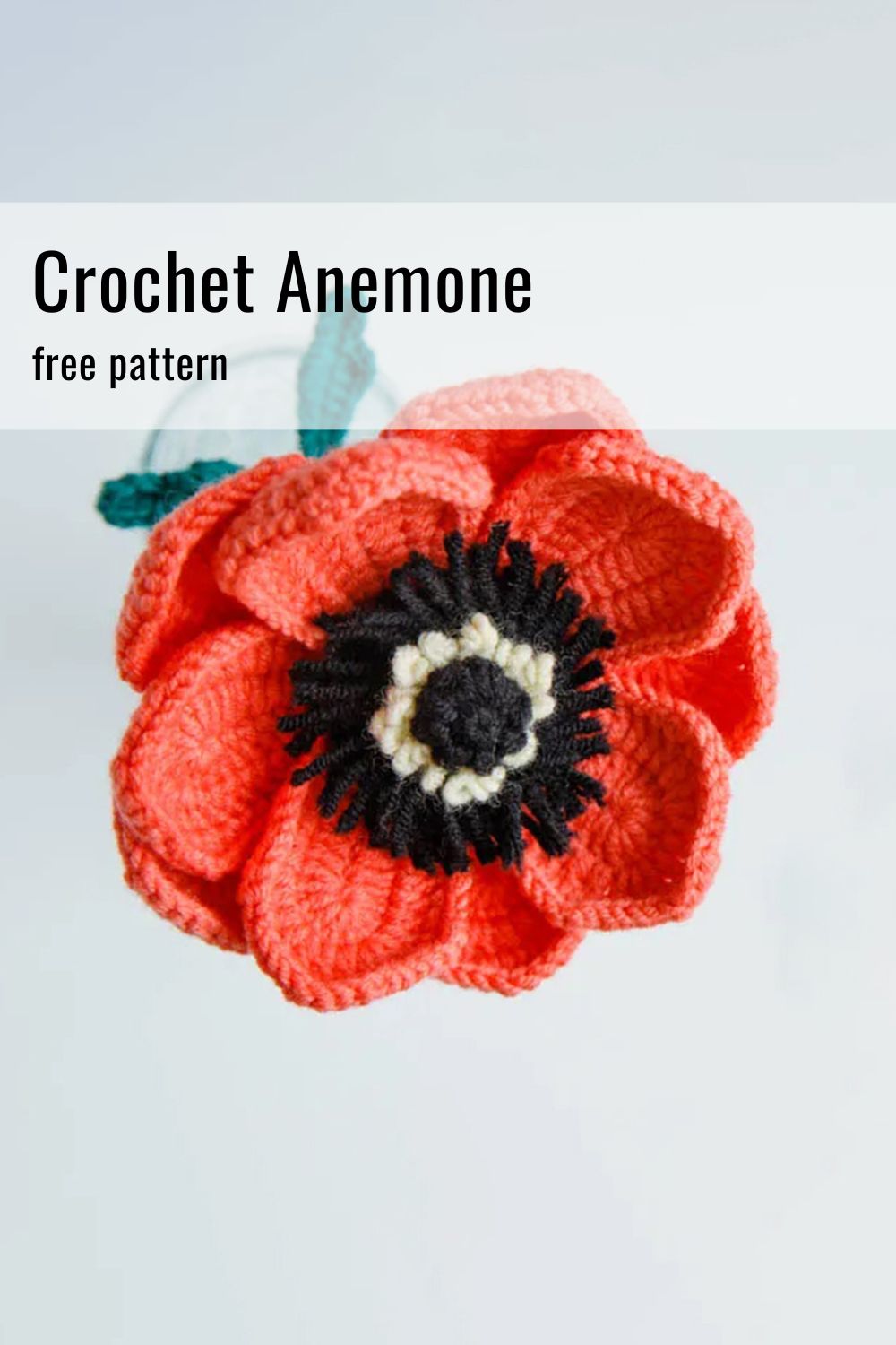 crochet anemone pattern|hookok.com