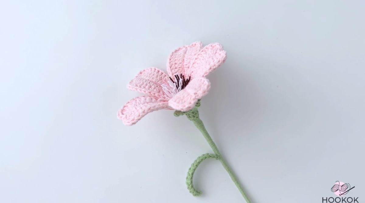 Crochet Agrostemma Githago Pattern|hookok