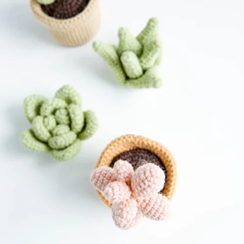 Crochet green succulent|hookok
