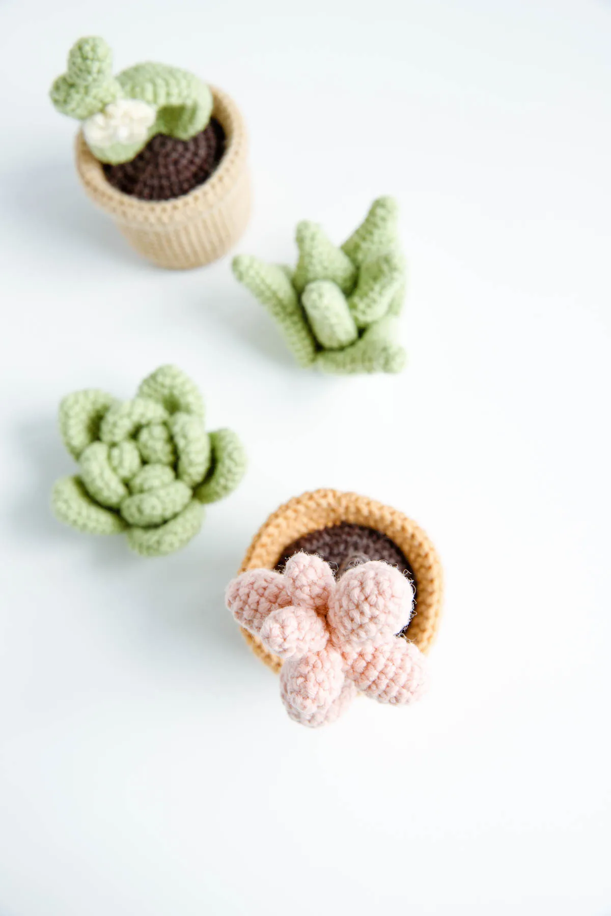 Crochet Succulent Pattern - Hookok