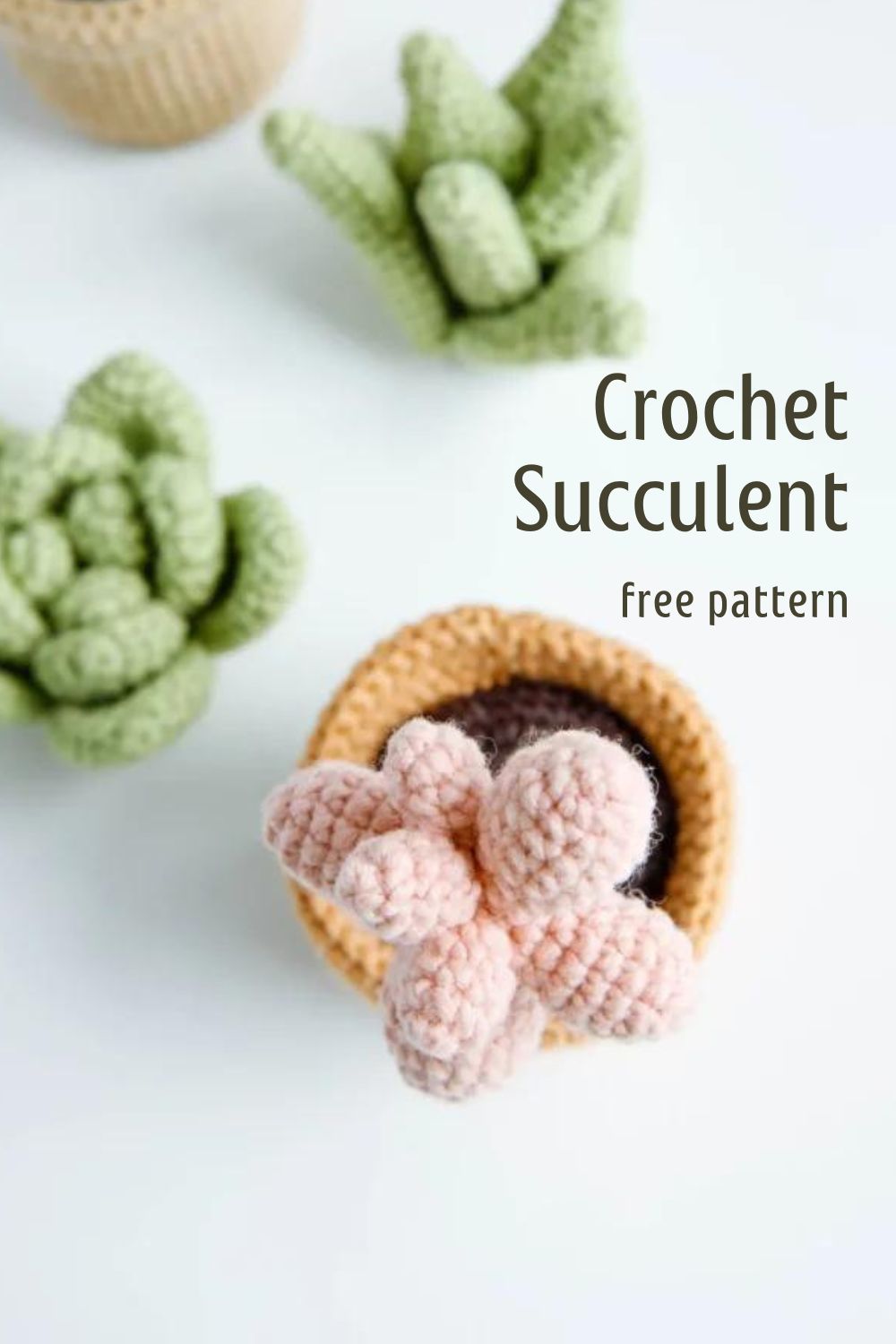 Crochet Pink Succulent Pattern - Hookok