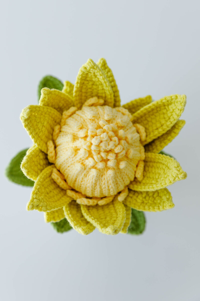 Crochet King Protea|hookok-39 Crochet King Protea|hookok