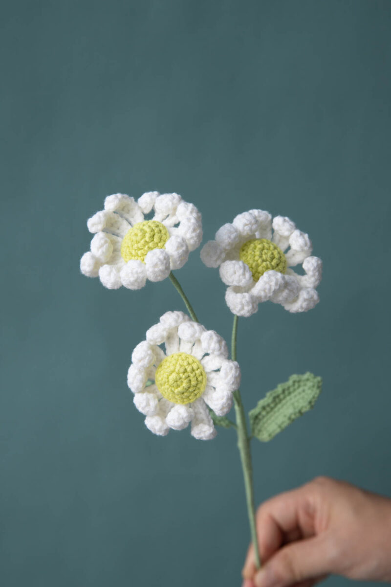 1110singleflowers-31 1110singleflowers-31