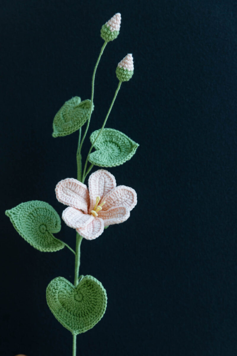 1110singleflowers-62 tung-oil flower|hookok.com