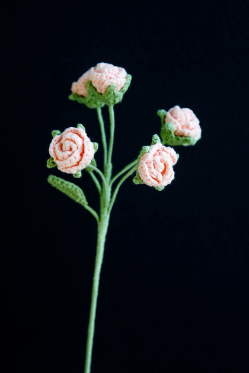 1110singleflowers-71 1110singleflowers-71