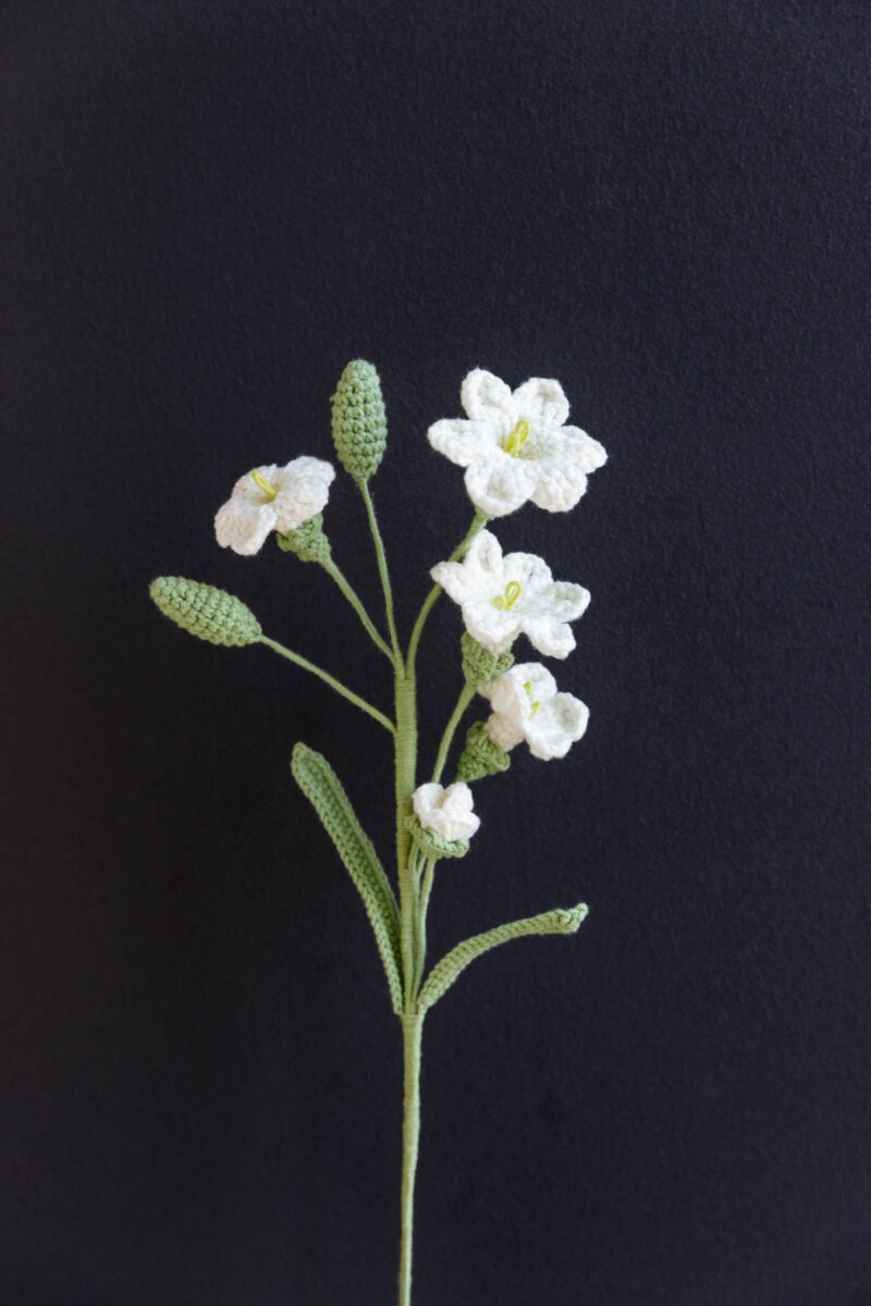 1110singleflowers-73 1110singleflowers-73