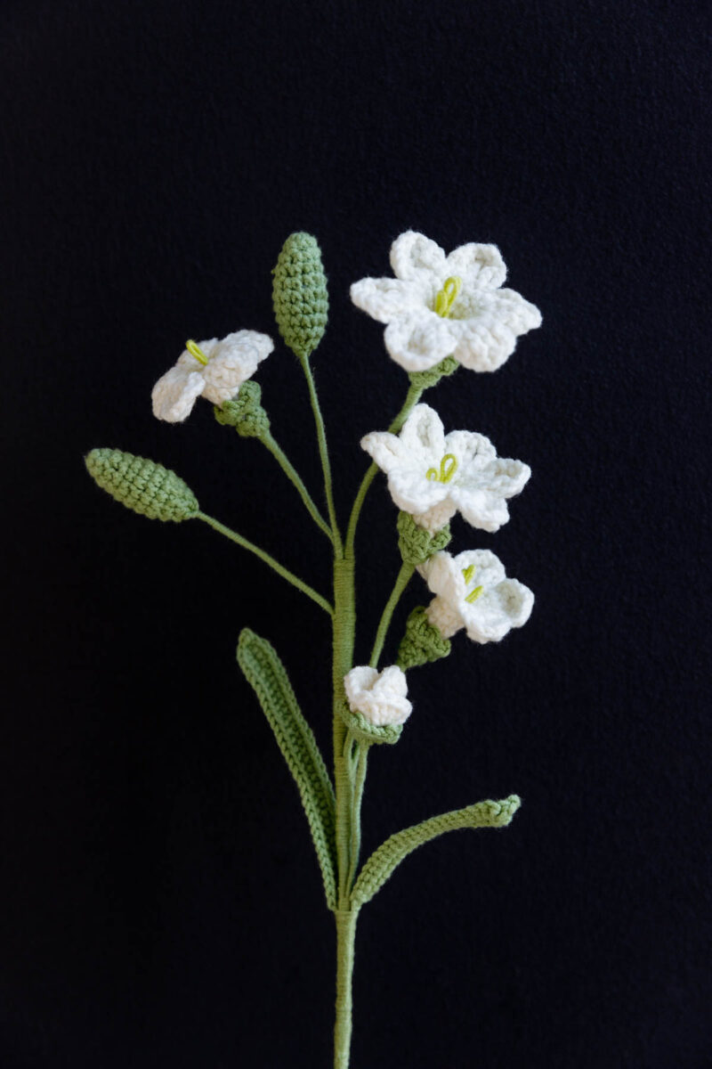 open freesia|hookok.com open freesia|hookok.com