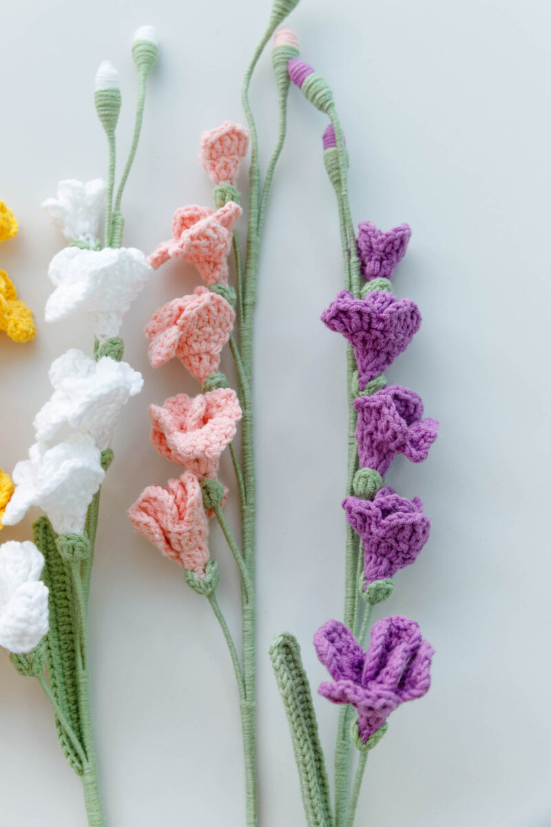 freesia|hookok.com freesia|hookok.com