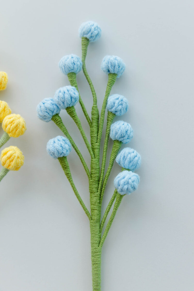 small fruit|hookok.com small fruit|hookok.com