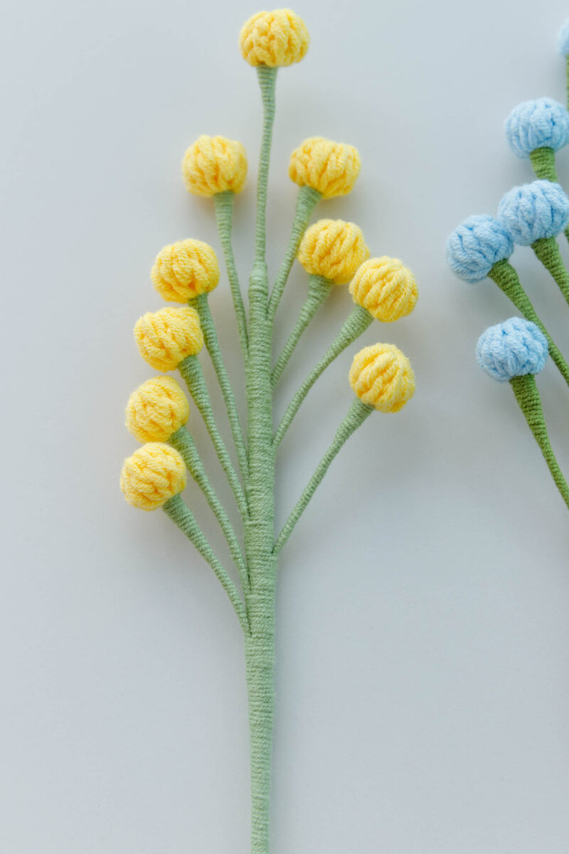 small fruit|hookok.com small fruit|hookok.com