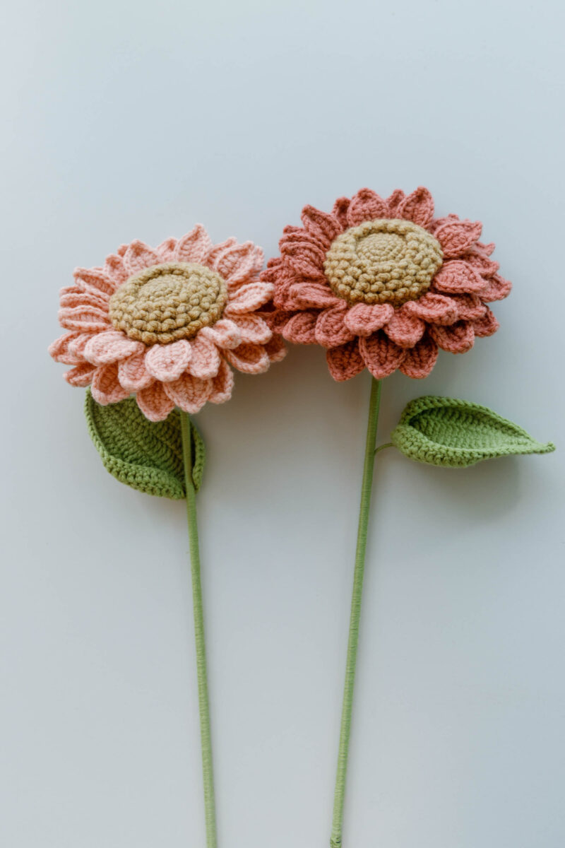 sunflower|hookok.com sunflower|hookok.com