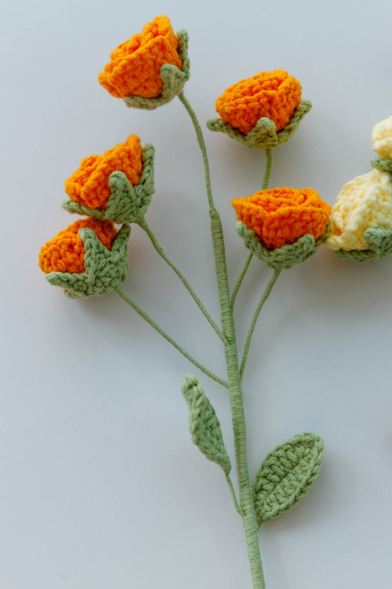 multi-head rose|hookok.com multi-head rose|hookok.com