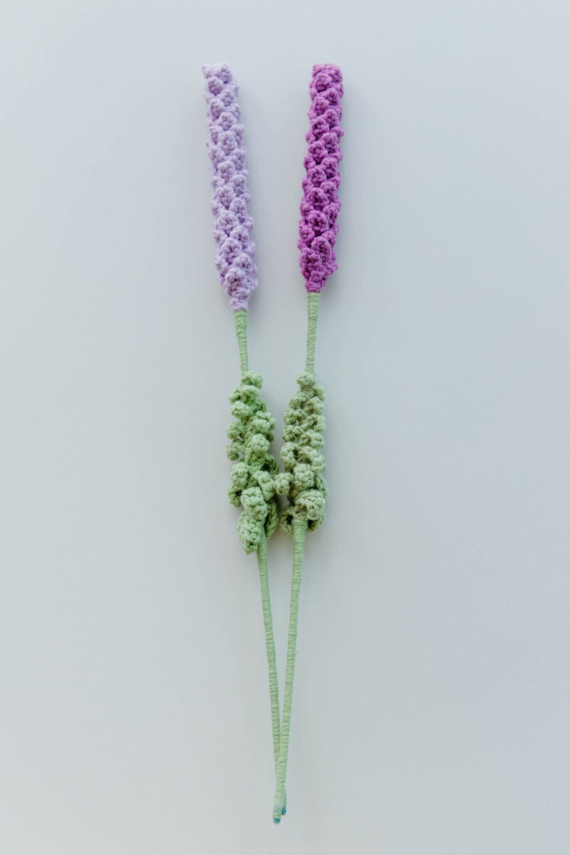 lavender|hookok.com