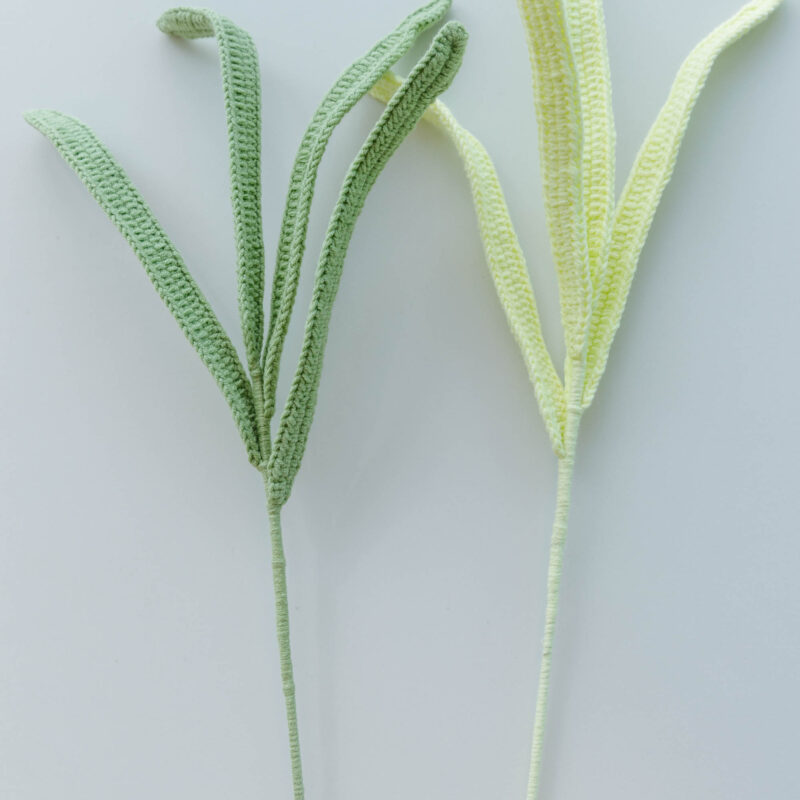 Cymbidium Leaf|hookok.com