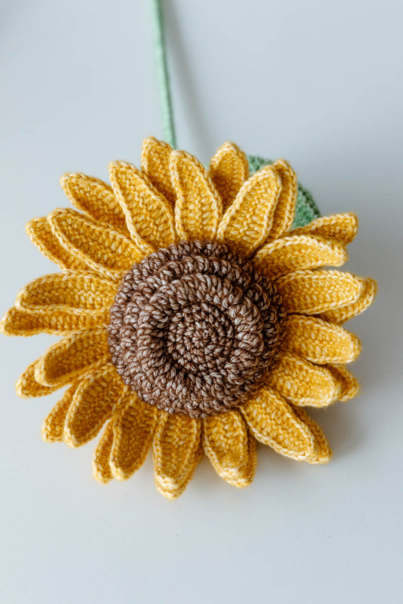 vintage sunflower|hookok.com vintage sunflower|hookok.com