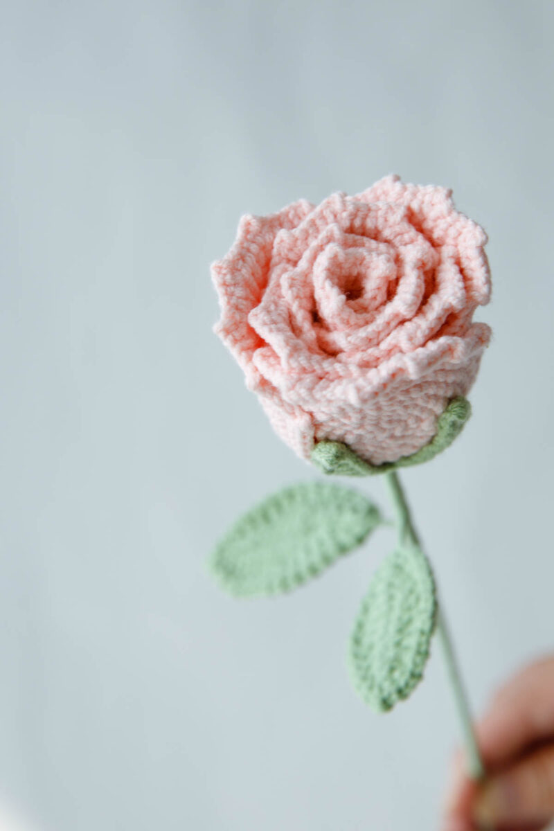 wineglass rose|hookok.com wineglass rose|hookok.com