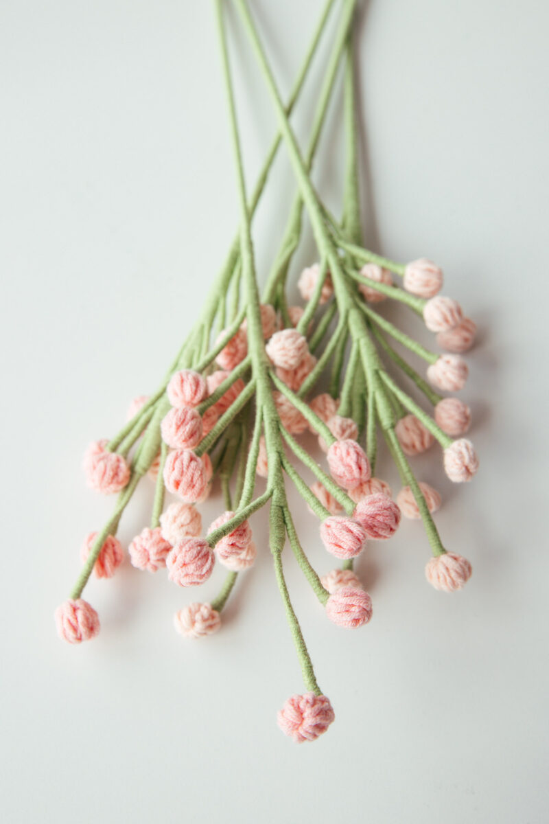 Snow fruit branch|hookok Snow fruit branch|hookok