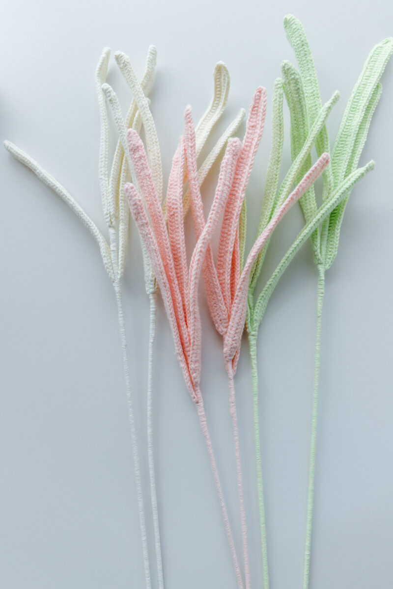 Cymbidium Leaf|hookok Cymbidium Leaf|hookok