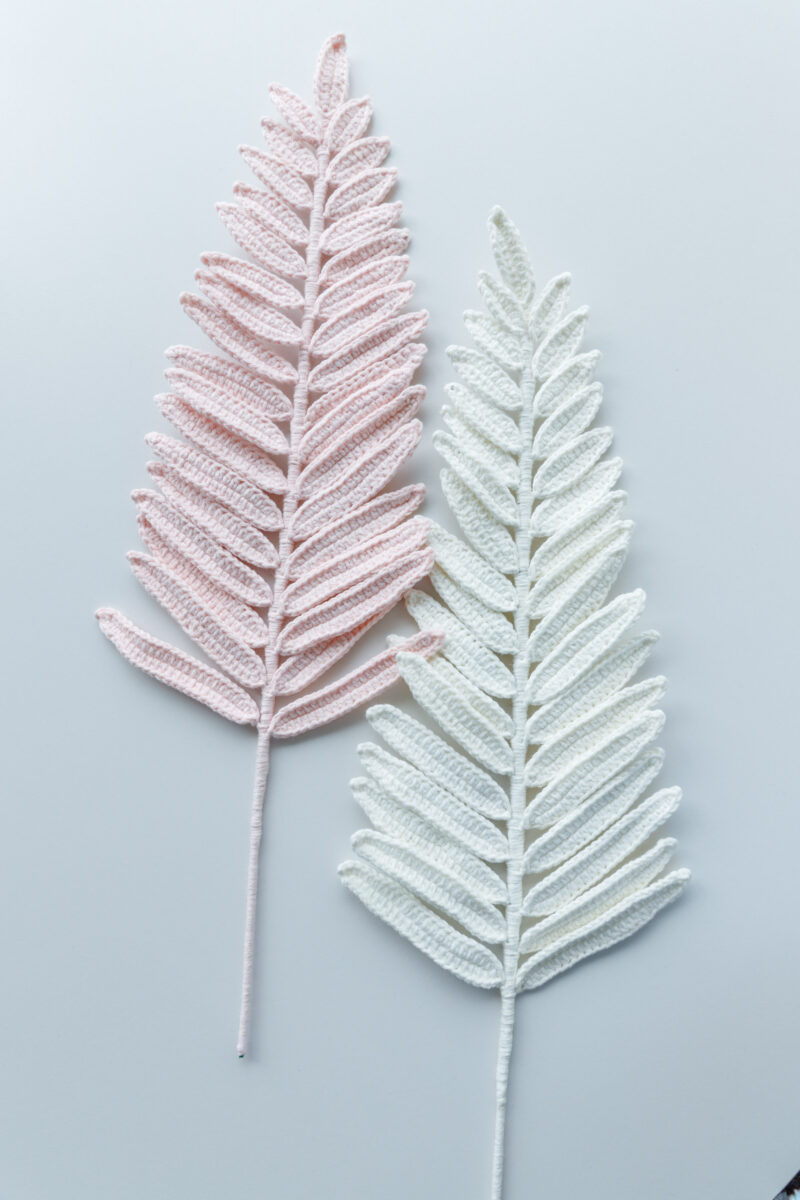 Sword Fern Leaf|hookok Sword Fern Leaf|hookok