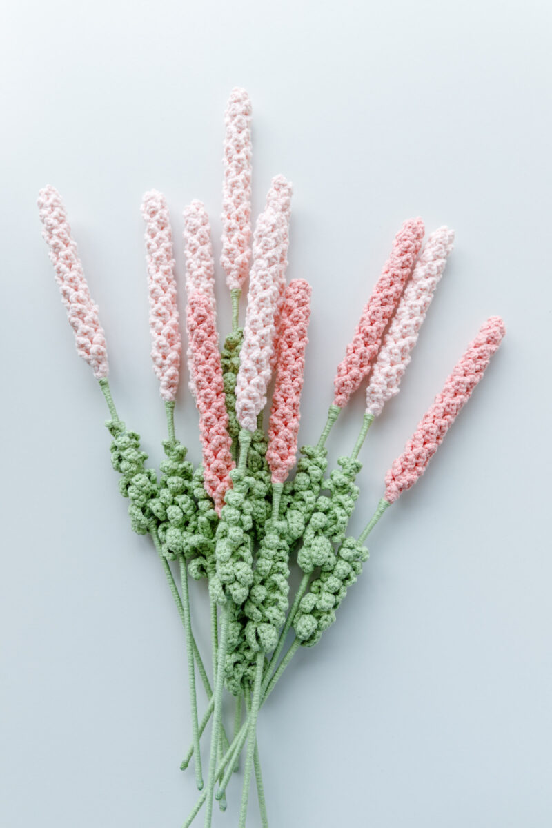 lavender|hookok lavender|hookok