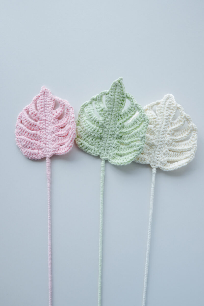 Monstera Leaf|hookok Monstera Leaf|hookok