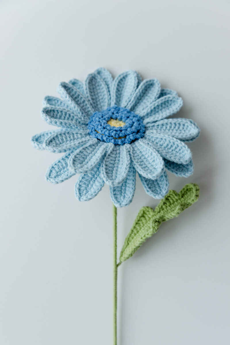 gerbera|hookok.com gerbera|hookok.com