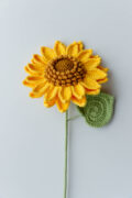 sunflower|hookok.com
