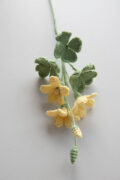four-leaf clover|hookok.com