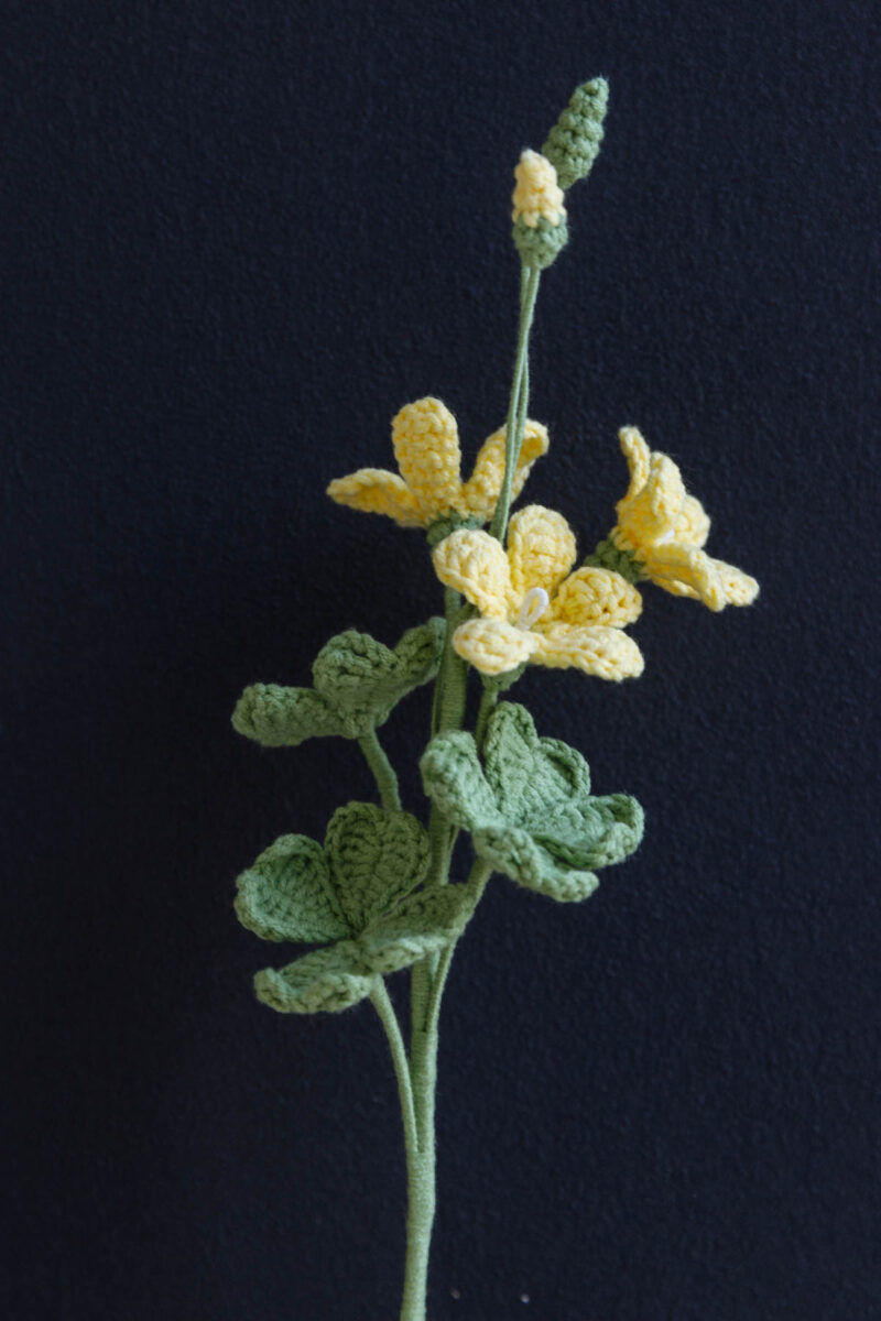 four-leaf clover|hookok.com four-leaf clover|hookok.com