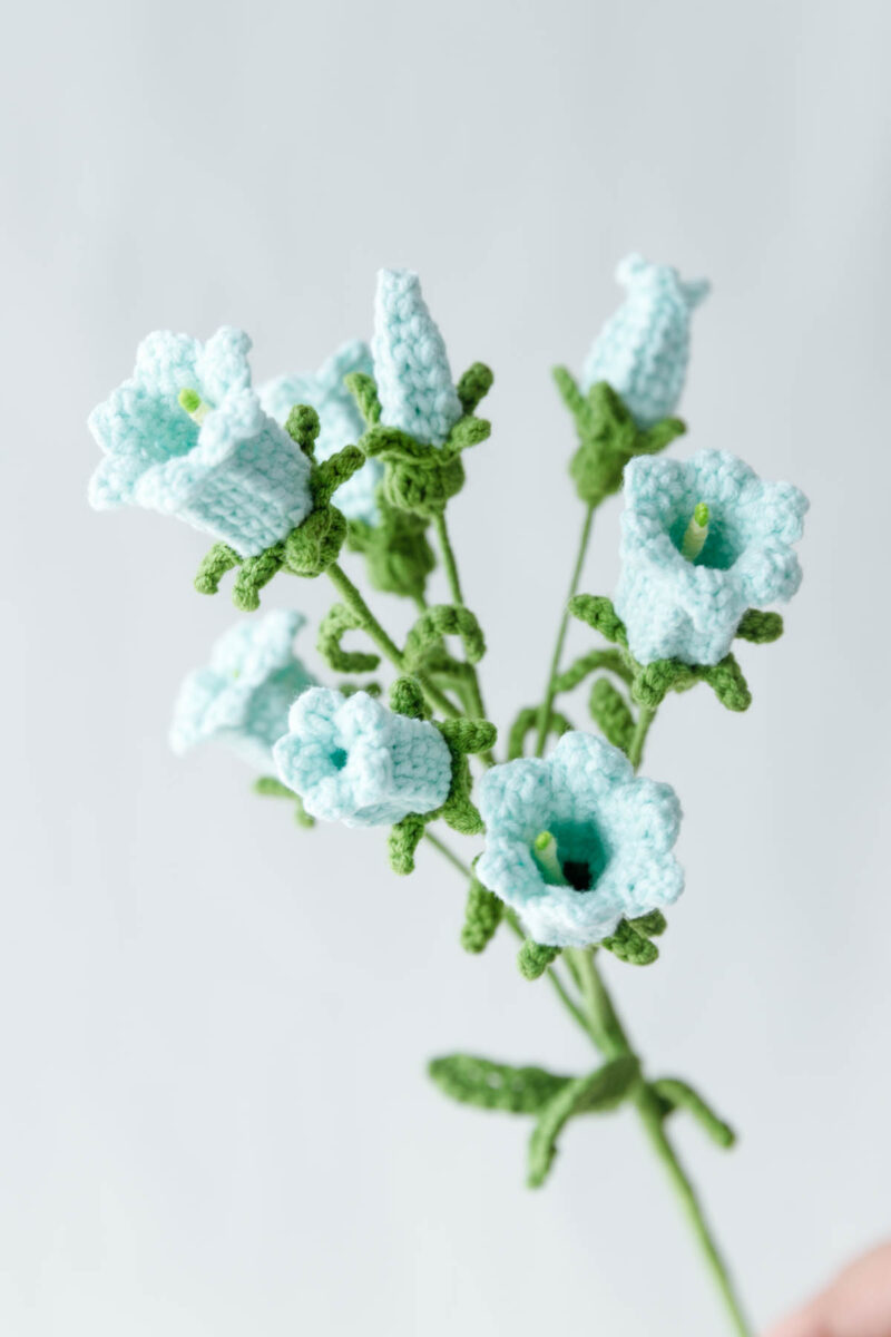 bellflower|hookok.com bellflower|hookok.com