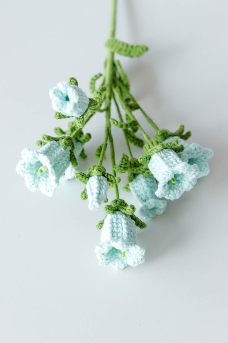 bellflower|hookok.com bellflower|hookok.com