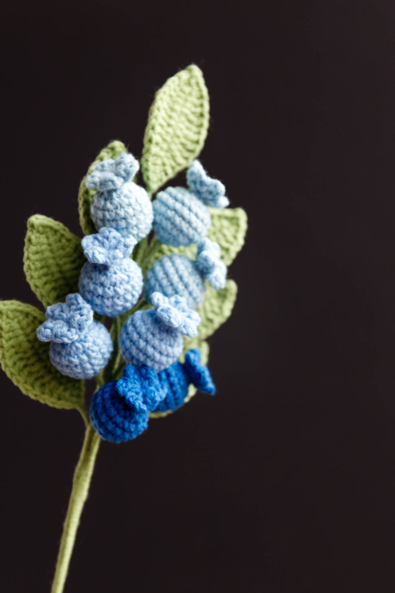 Crochet Blueberry Branch pattern|hookok Crochet Blueberry Branch pattern|hookok