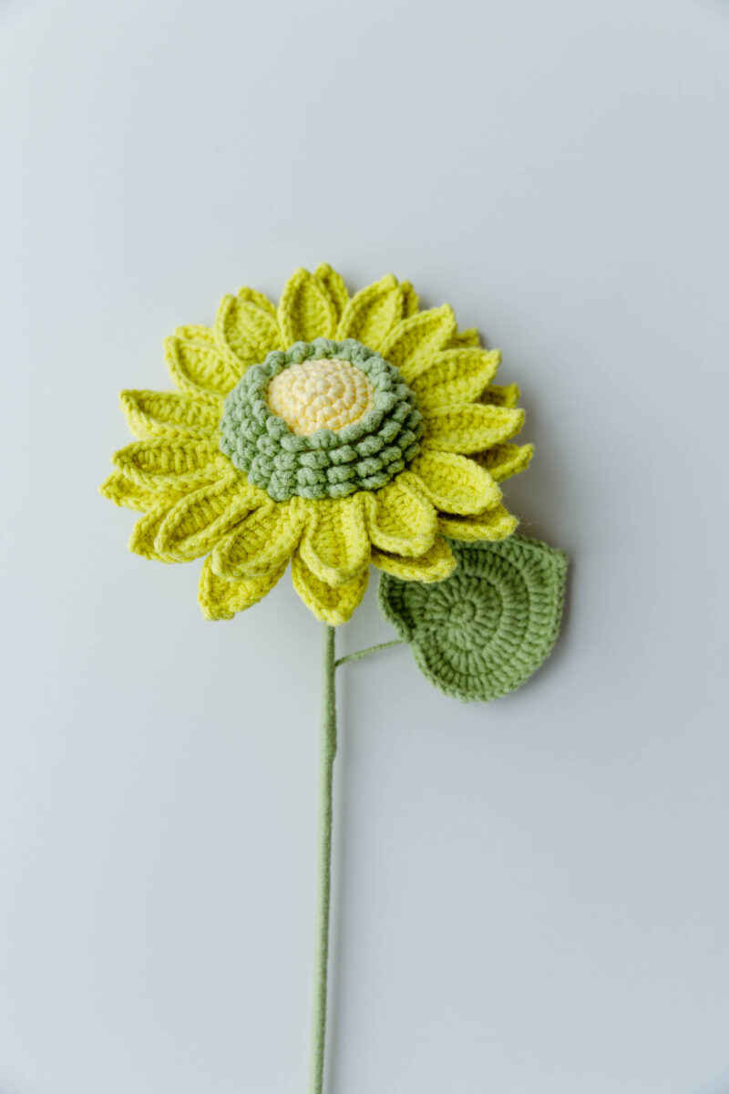 green sunflower|hookok green sunflower|hookok