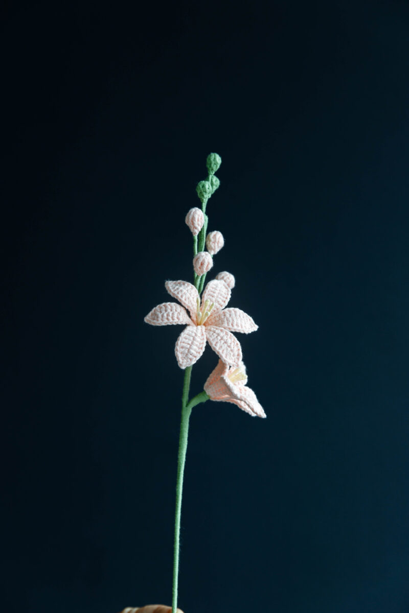 Crochet Renanthera coccinea Pattern|hookok Crochet Renanthera coccinea Pattern|hookok