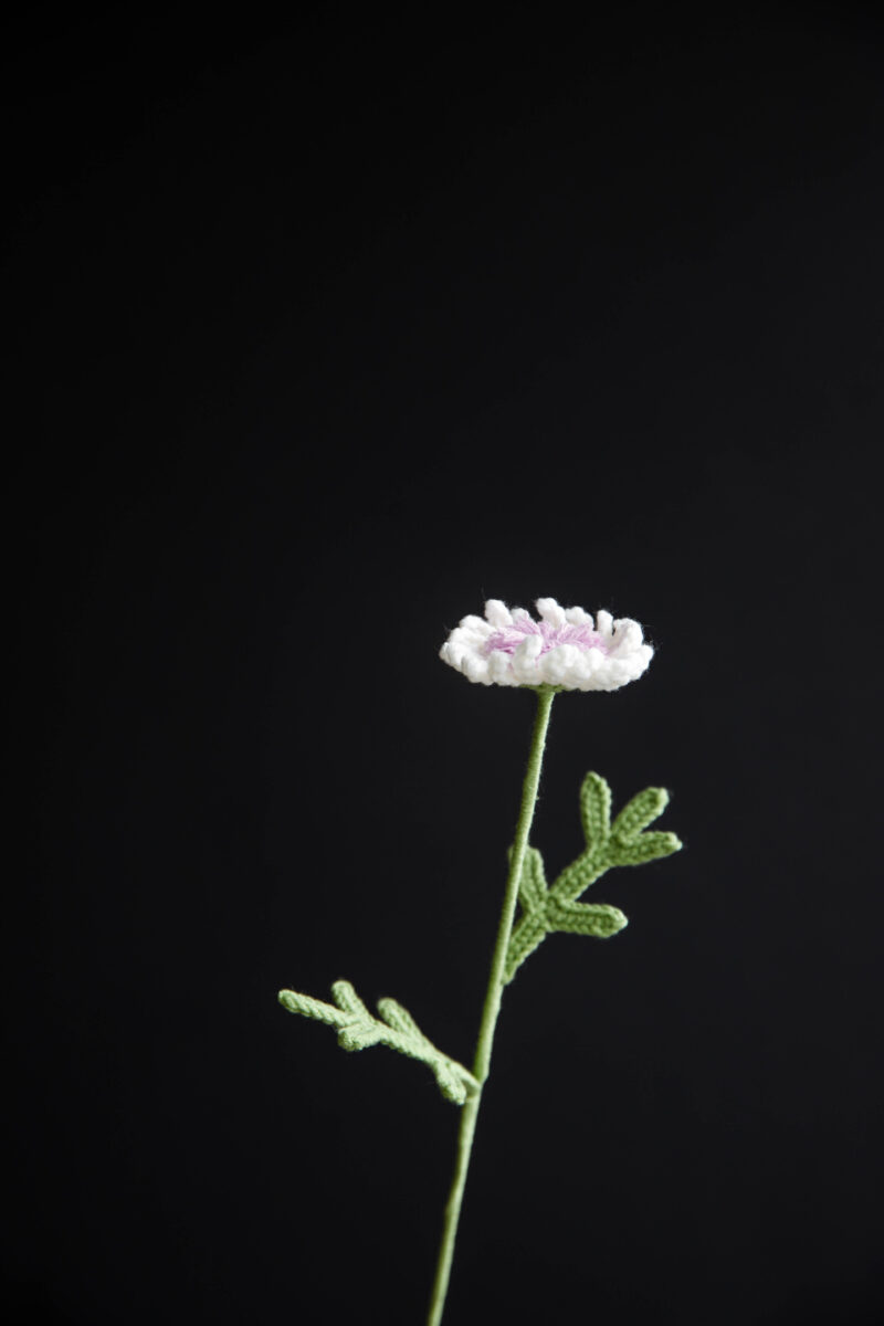 Crochet Marguerite Daisy Flower Pattern|hookok Crochet Marguerite Daisy Flower Pattern|hookok