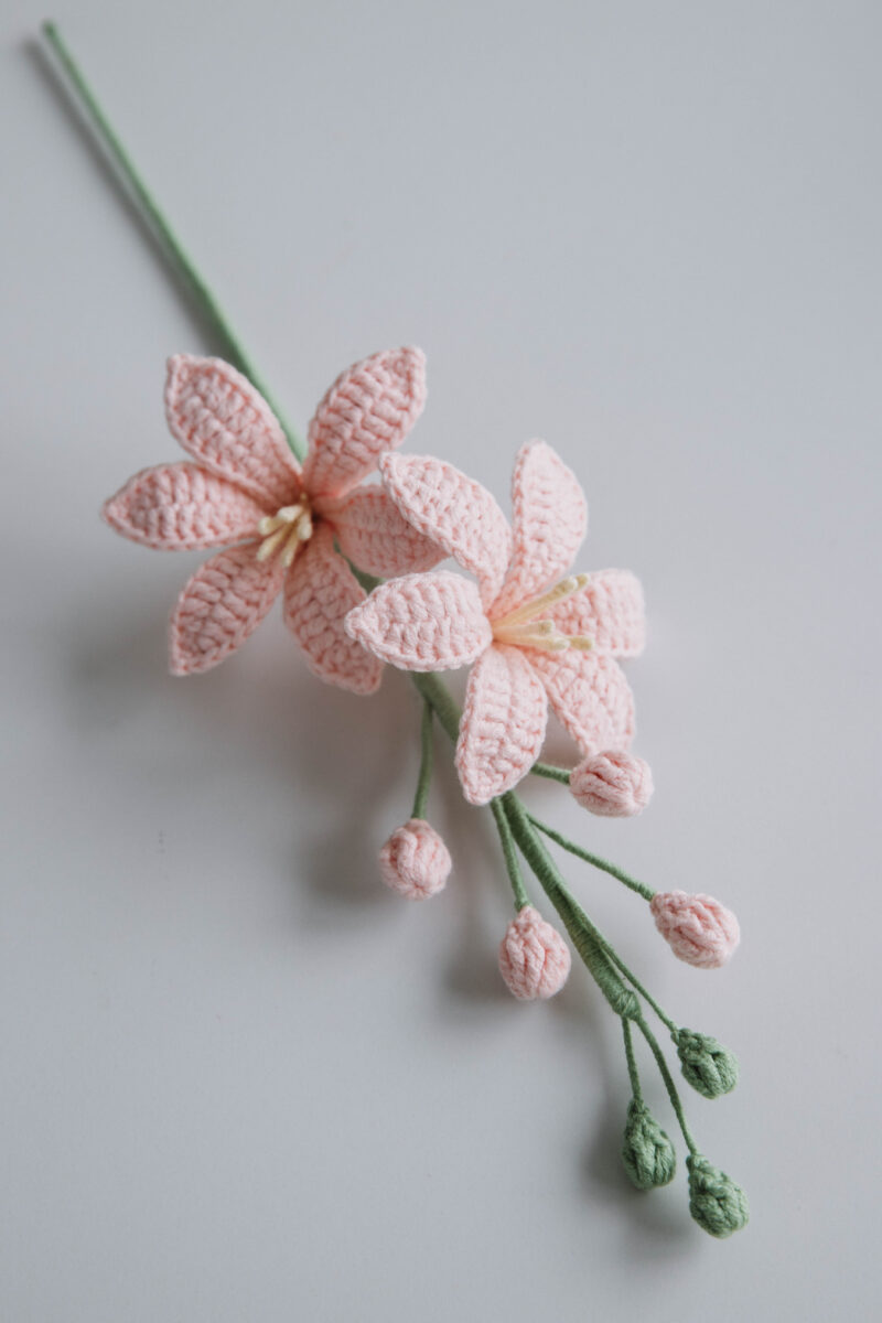 Crochet Renanthera coccinea Pattern|hookok Crochet Renanthera coccinea Pattern|hookok