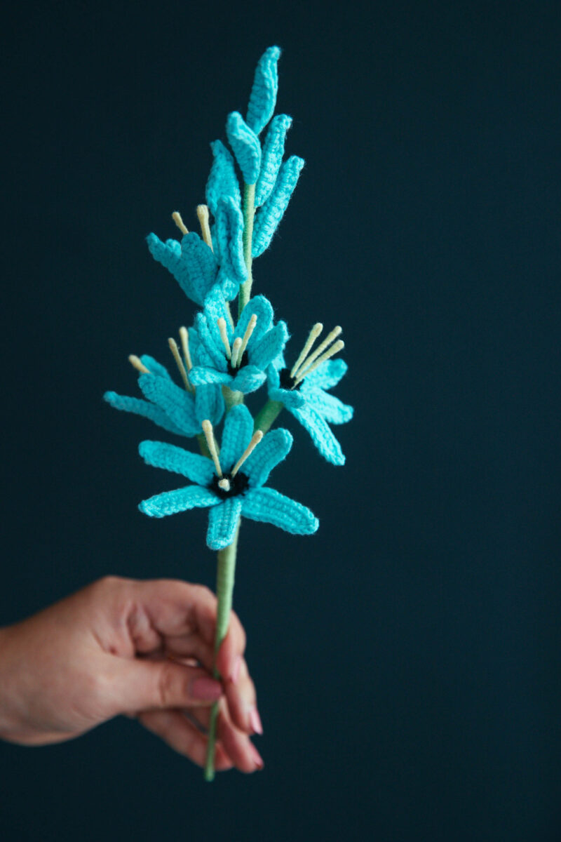 Crochet Ixia Viridiflora Pattern|hookok Crochet Ixia Viridiflora Pattern|hookok