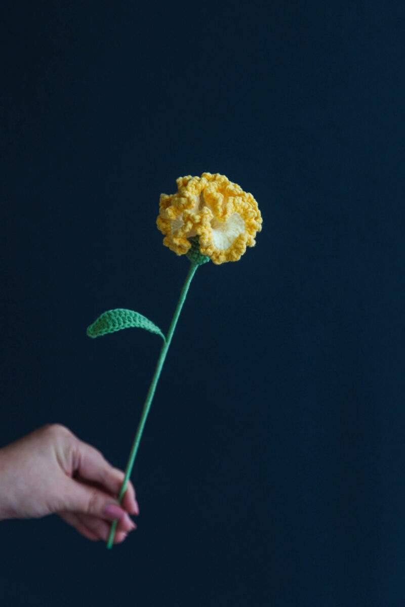 Crochet Carnation Flower Pattern|hookok Crochet Carnation Flower Pattern|hookok