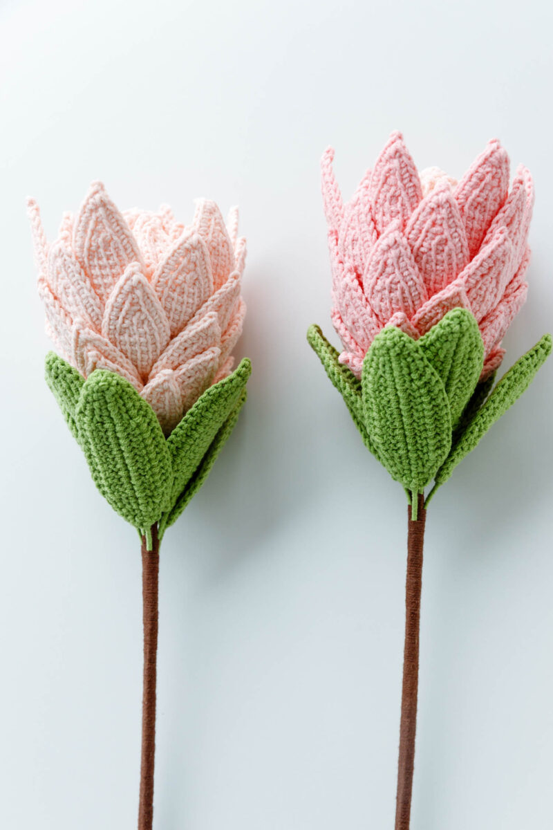 Crochet King Protea|hookok Crochet King Protea|hookok