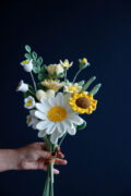 White gerbera bouquet|hookok