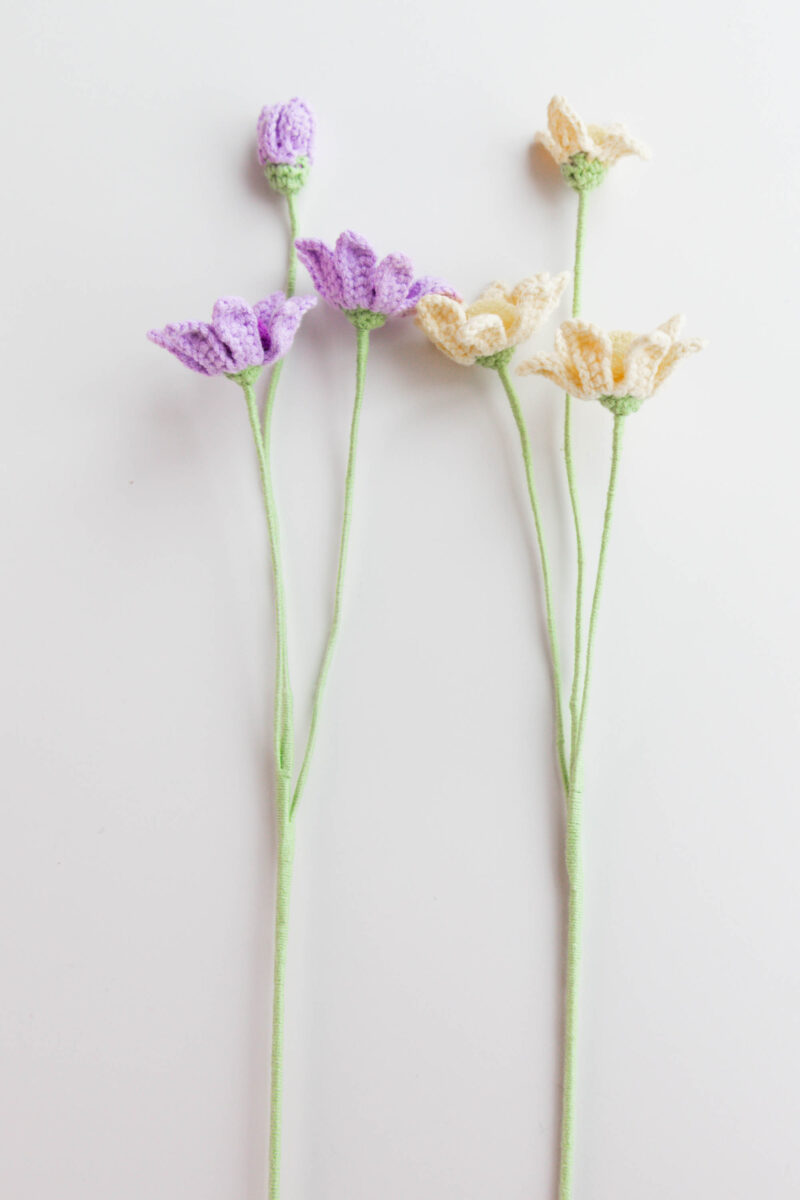 crochet osteopermum|hookok crochet osteopermum|hookok