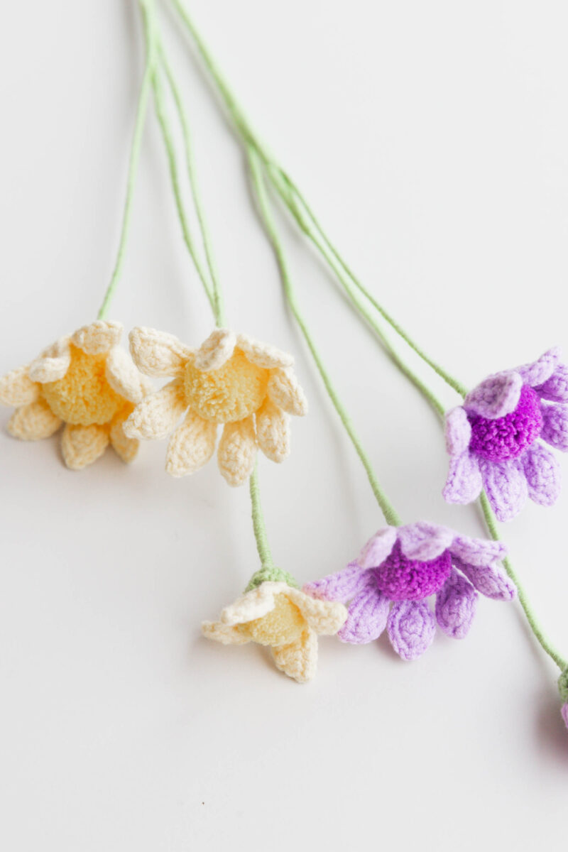 crochet osteopermum|hookok crochet osteopermum|hookok