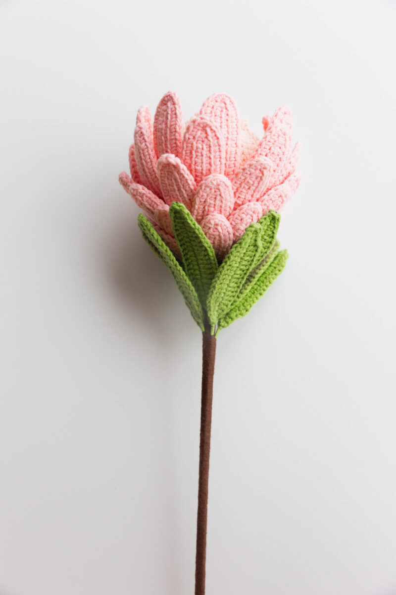 Crochet Princess Protea|hookok Crochet Princess Protea|hookok