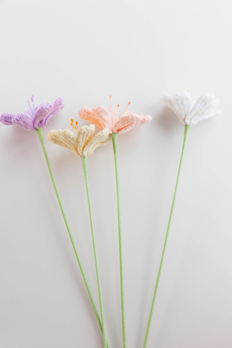 Crochet Lewisia Cotyledon Flower|hookok Crochet Lewisia Cotyledon Flower|hookok