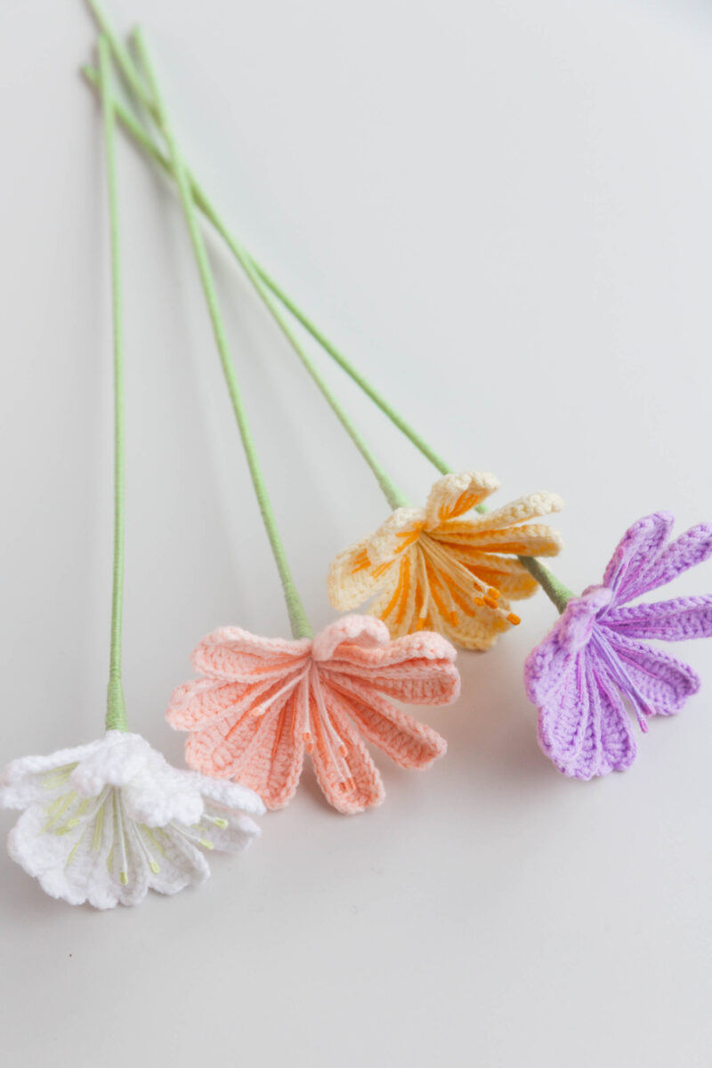 Crochet Lewisia Cotyledon Flower|hookok