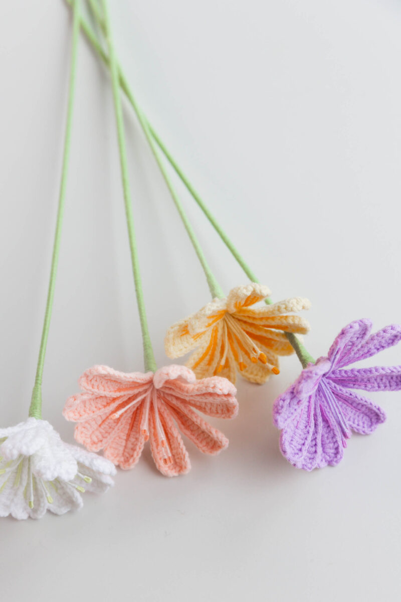 Crochet Lewisia Cotyledon Flower|hookok Crochet Lewisia Cotyledon Flower|hookok