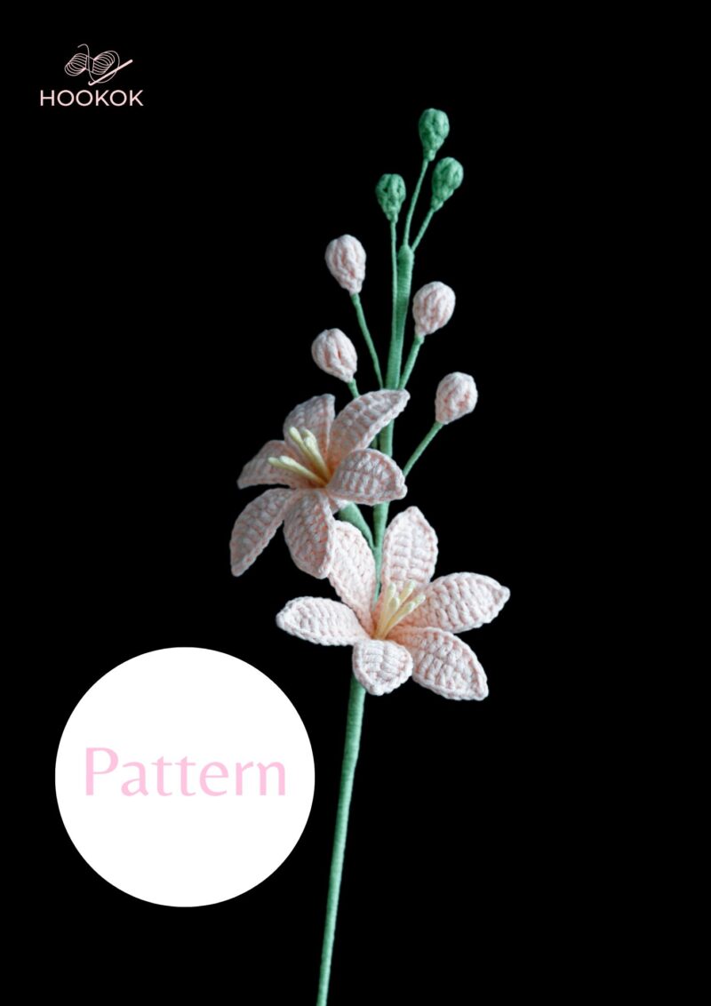 Crochet Renanthera coccinea Pattern|hookok